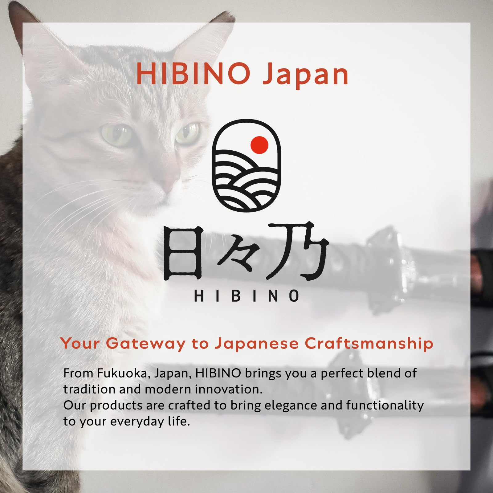 HIBINO scène de toilettage lifestyle rassure propriétaire et animal