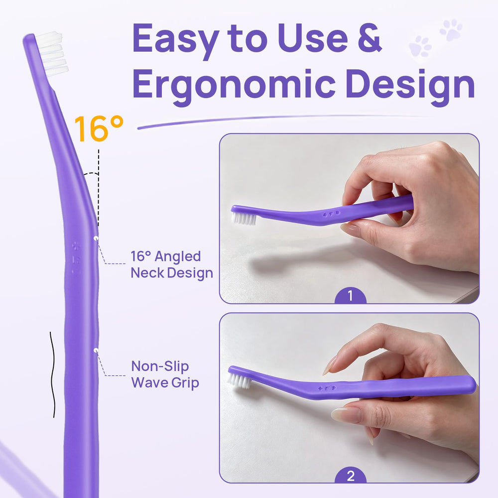 HICC PET angle de 16° facilitant l'alignement naturel du poignet