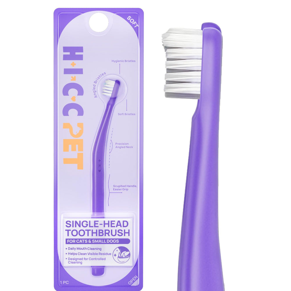 HICC PET brosse face avant montrant tête compacte pour un nettoyage précis
