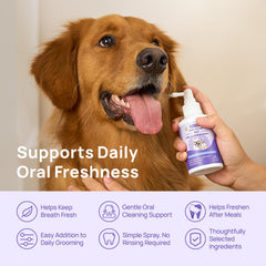 HICC PET solution versée sur la main pour démontrer la texture douce
