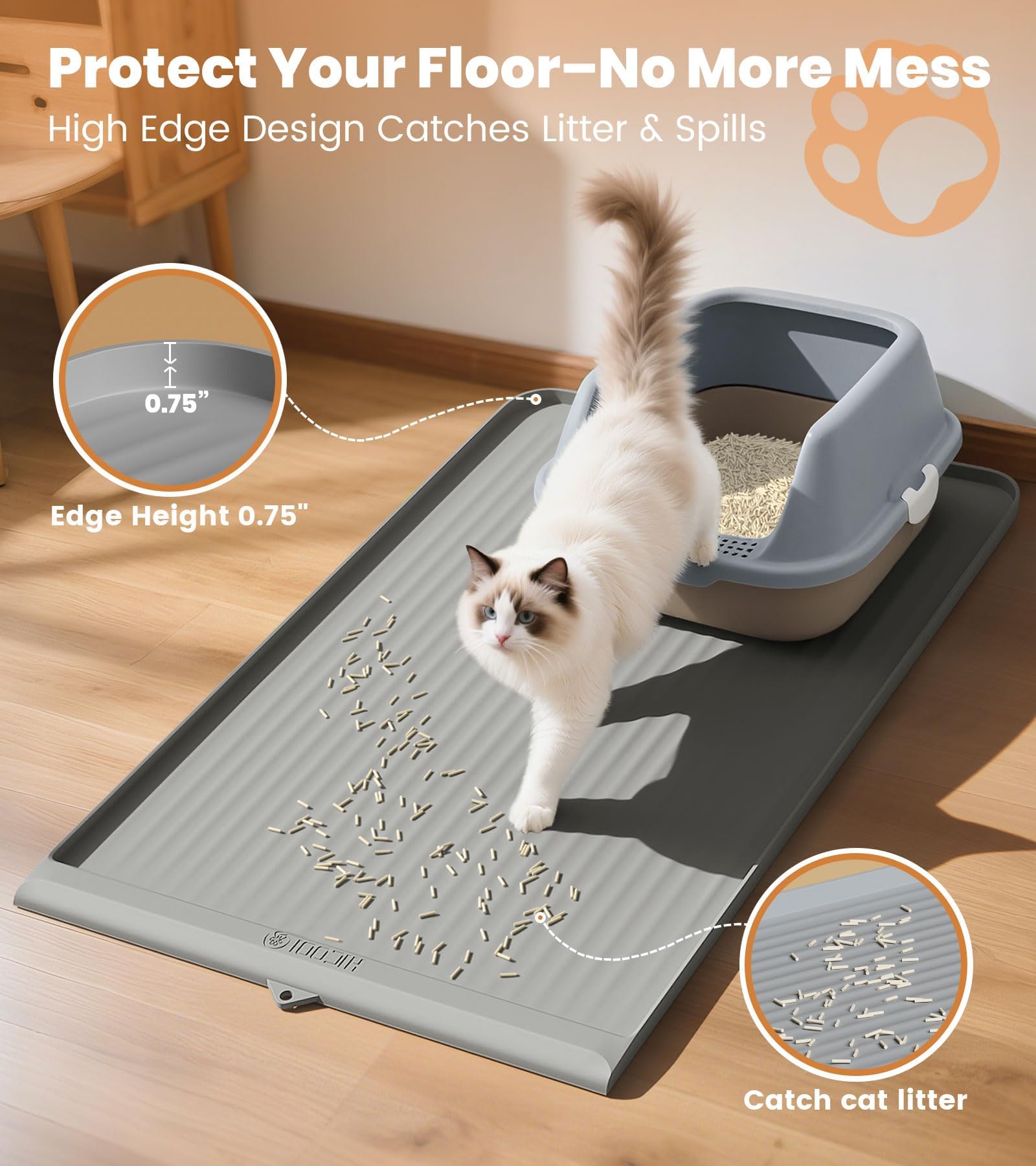 HICOOI chat marchant sur le tapis démontrant confort et collecte de grains
