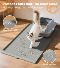 HICOOI chat marchant sur le tapis démontrant confort et collecte de grains