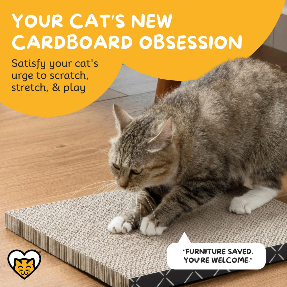 Hide & Scratch gros plan texture carton montrant résistance aux griffes