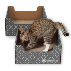 Hide & Scratch face avant du griffoir-boîte montrant ergonomie et confort