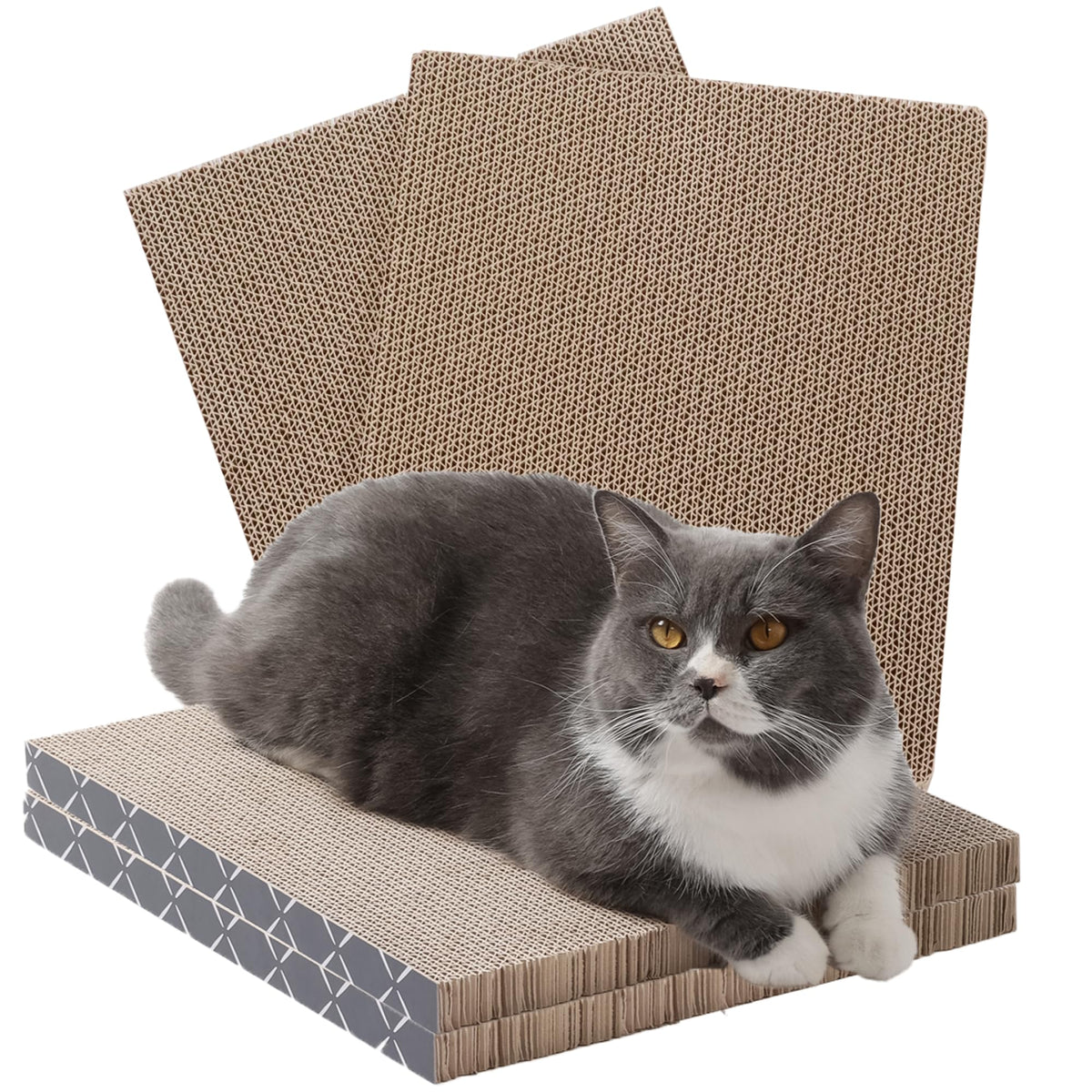 Hide & Scratch emballage avant montrant quatre recharges et accessibilité