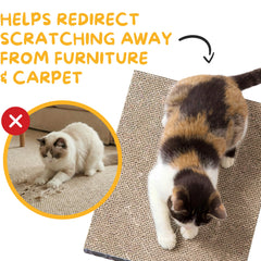 Hide & Scratch recharge insérée dans boîte en remplacement facile