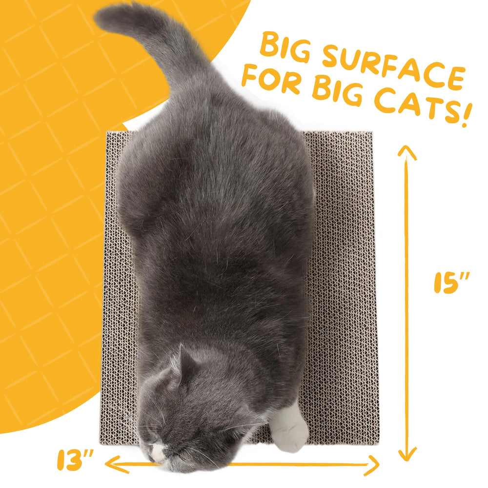Hide & Scratch piles de plaques illustrant quantité et rangement pratique