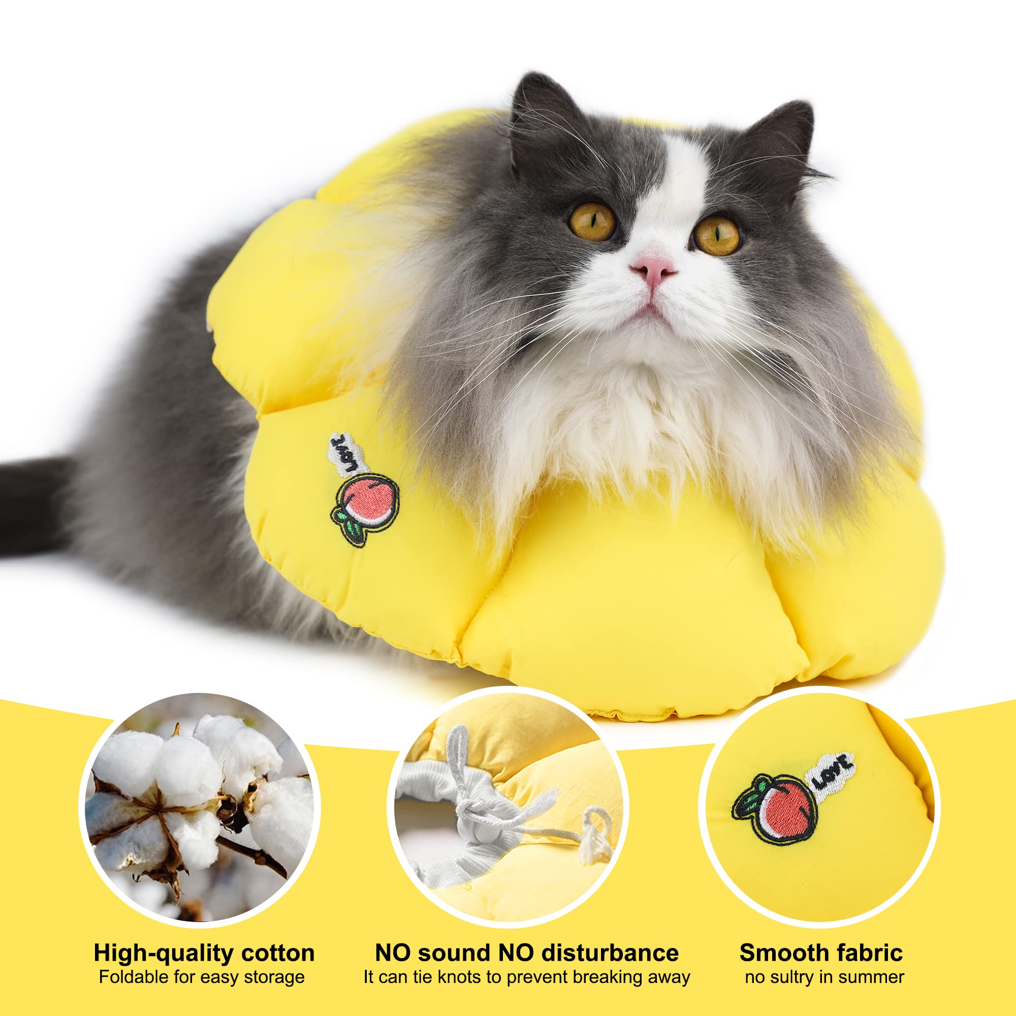 HiDREAM chat mange facilement avec collierère légère