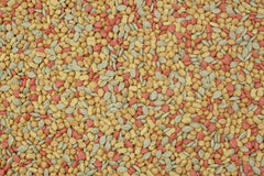 Higgins gros plan sur texture des croquettes pour meilleure digestibilité