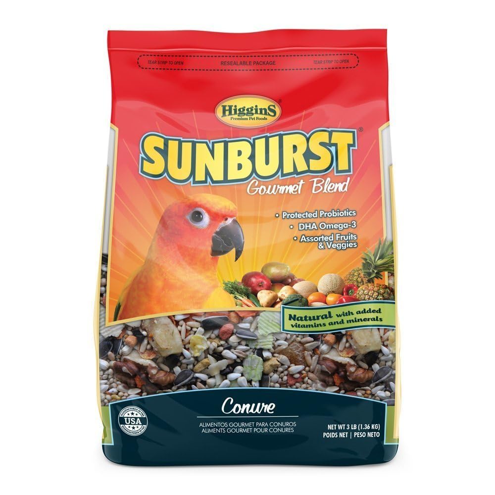 Gros plan Higgins Sunburst montrant textures variées pour stimulation alimentaire