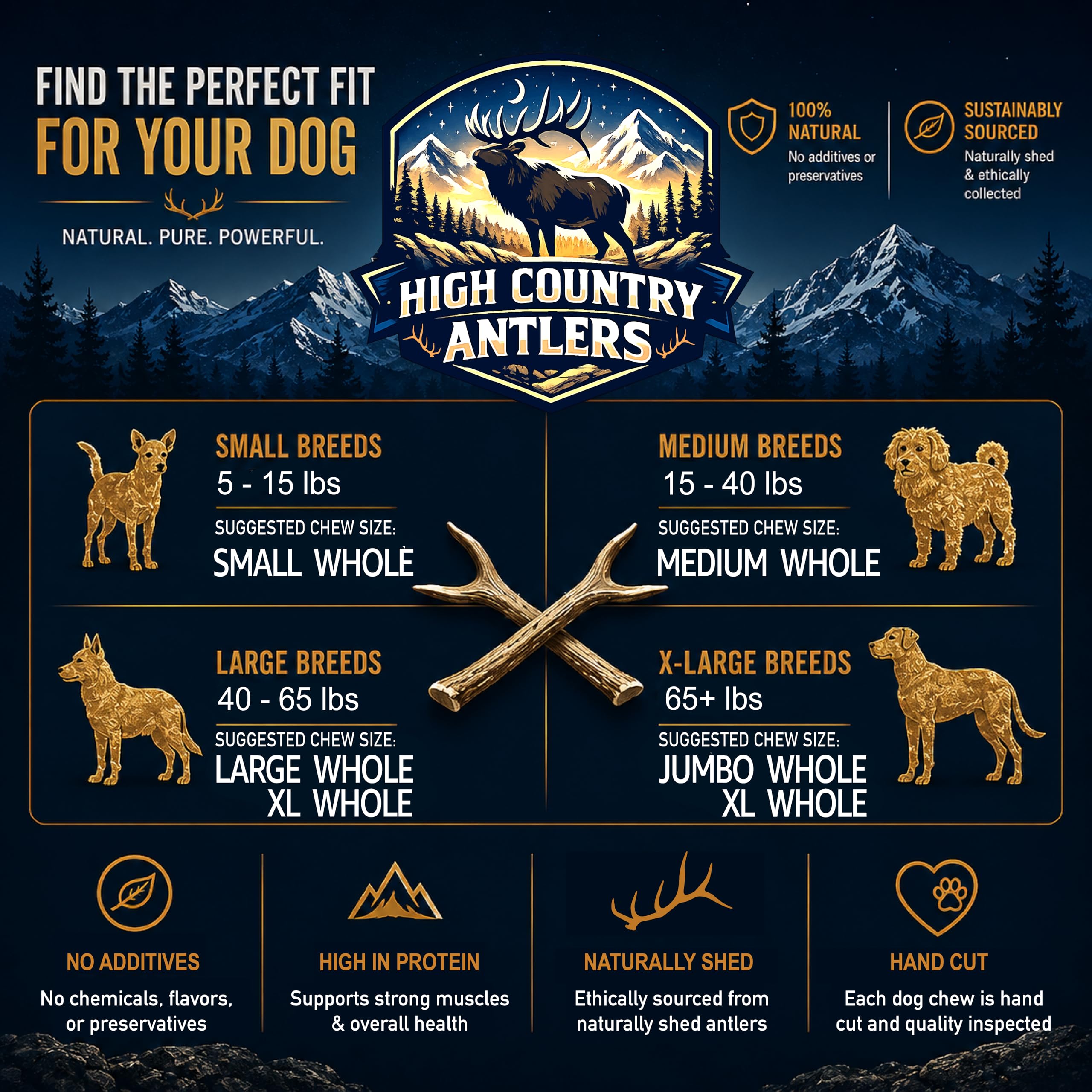 High Country Antlers chien adulte mâchant montrant satisfaction et résistance