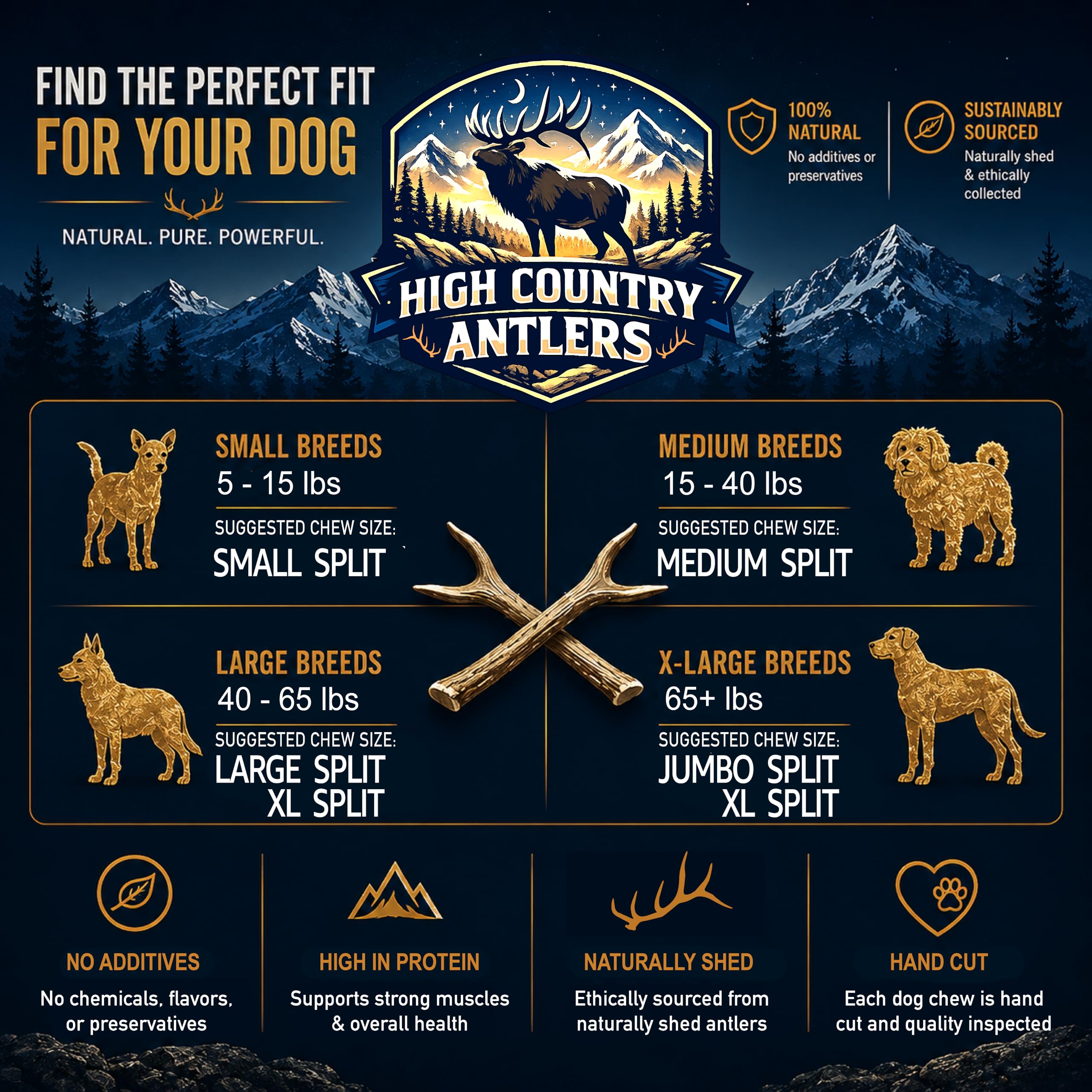 High Country Antlers chien moyen mâchant l'antler fendu pour stimulation durable