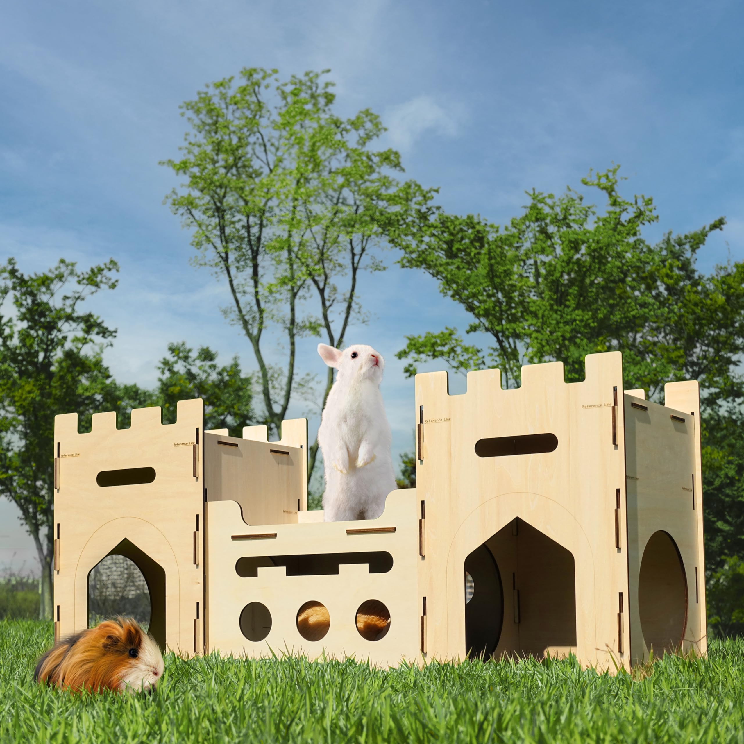 HIIMALEX comparaison d'échelle avec un lapin, montre dimensions