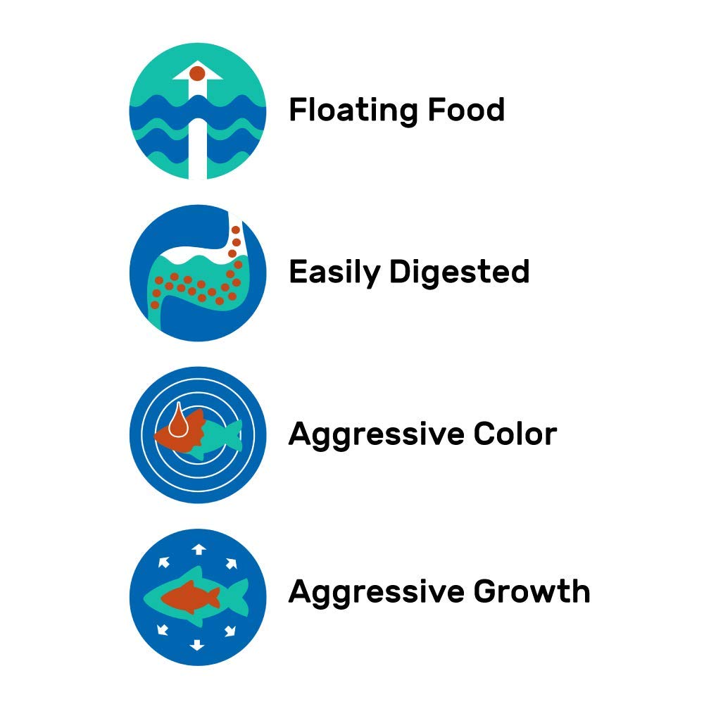 Hikari granulés en utilisation dans aquarium montrant poissons actifs et appétit