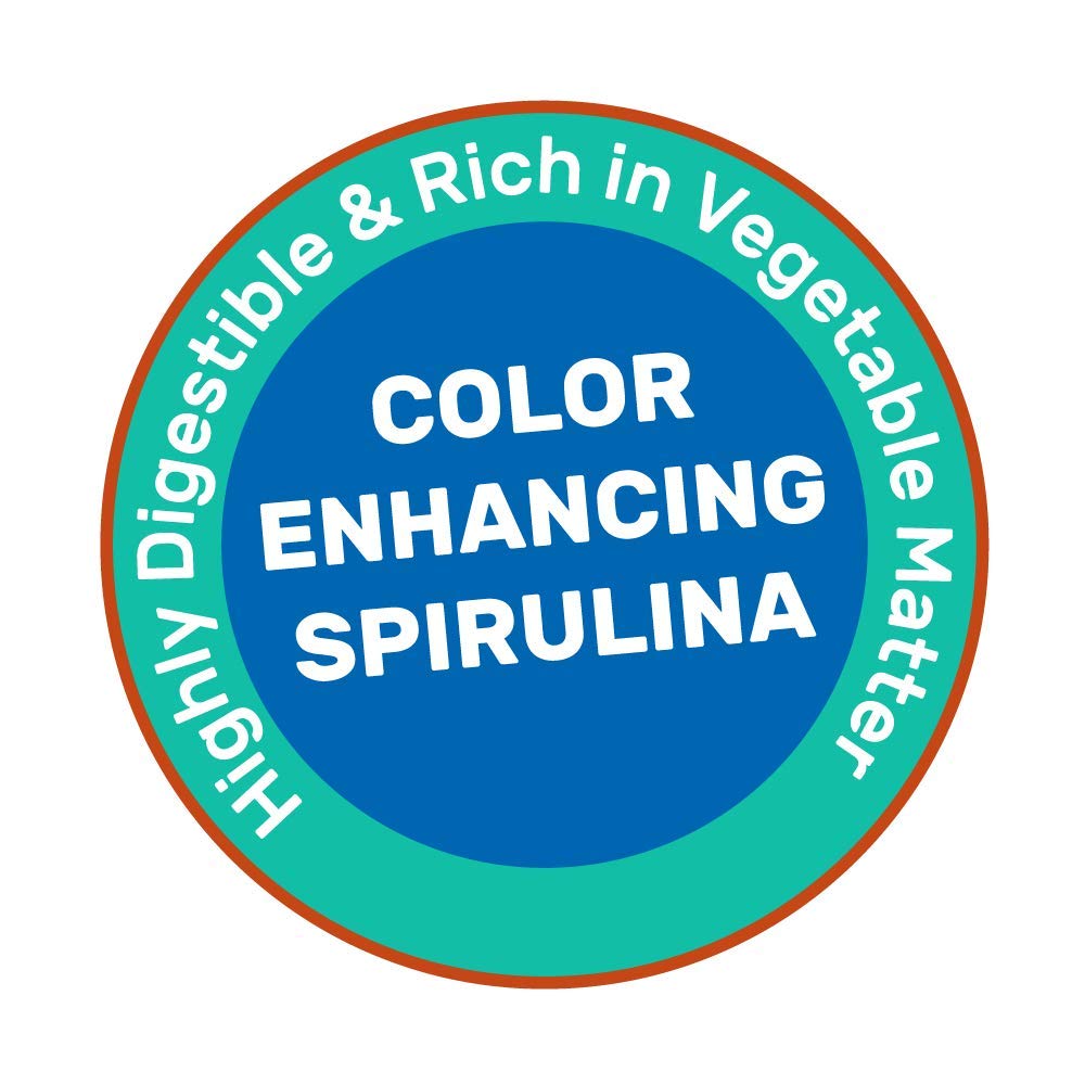 Hikari spiruline pure en focus comme ingrédient clé pour couleur et vitalité