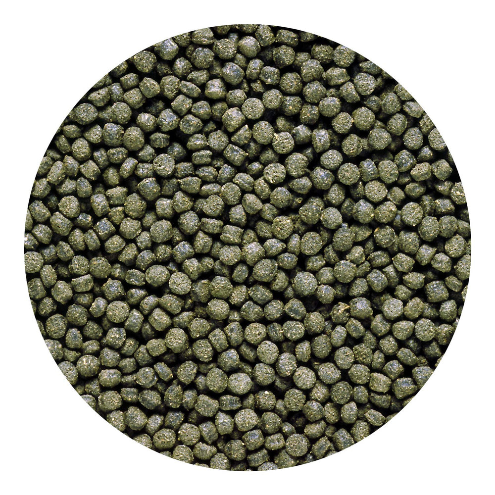 Hikari étiquette nutrition détaillée indiquant spiruline et vitamine C stabilisée