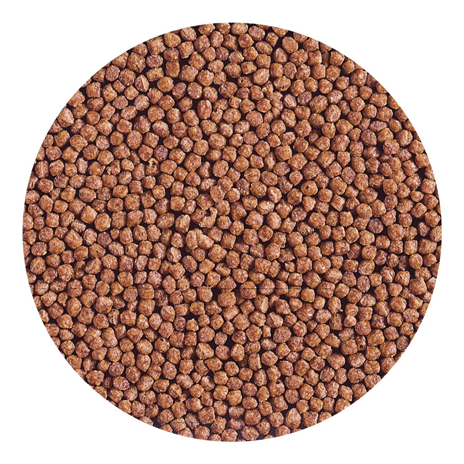 Hikari Cichlid Gold comparaison de taille des granulés pour dosages précis
