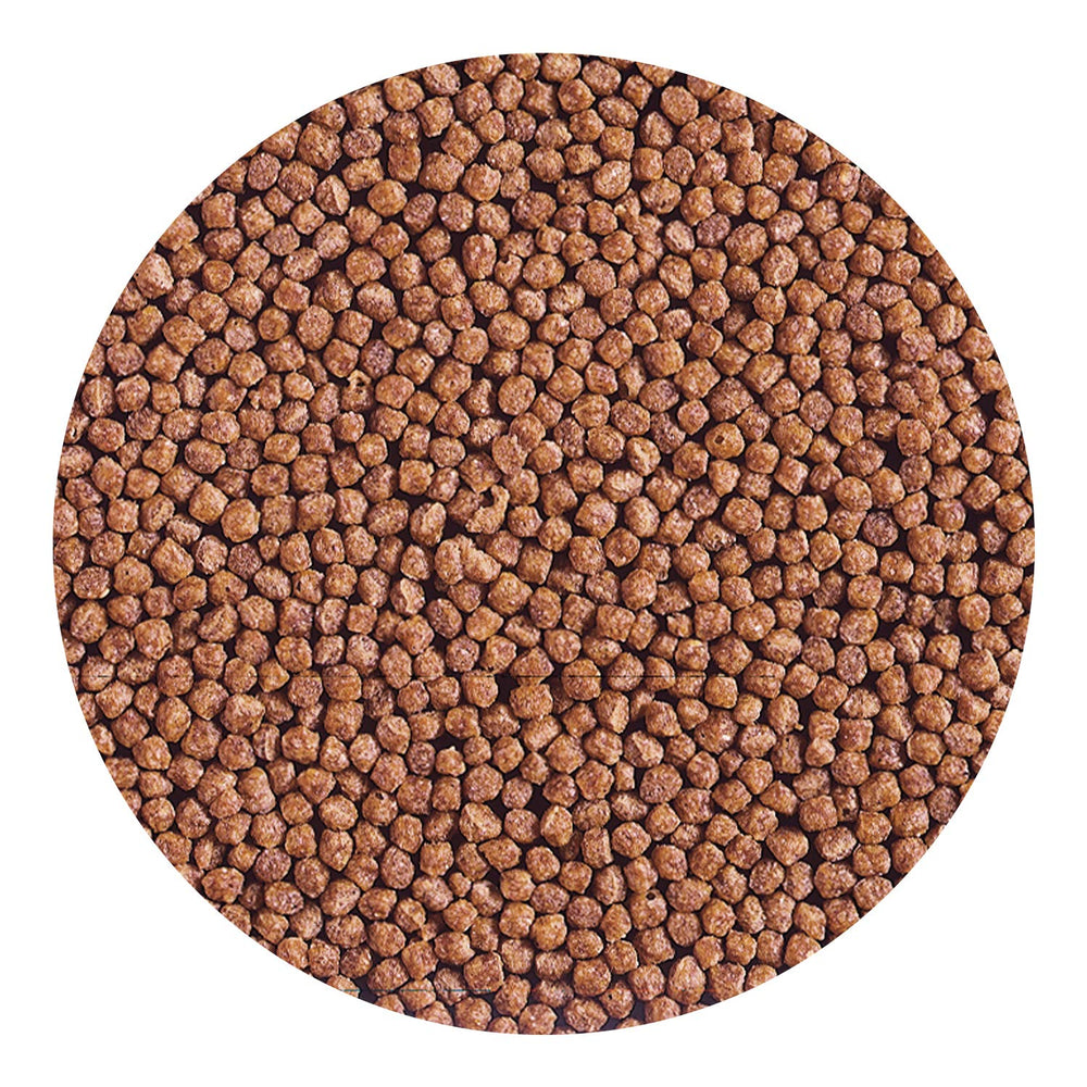 Hikari Cichlid Gold comparaison de taille des granulés pour dosages précis