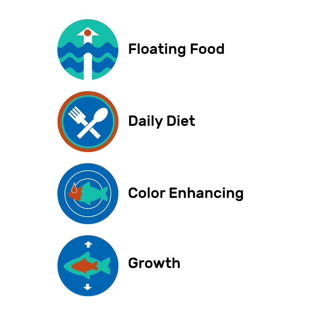 Hikari comparaison taille stick avec main montrant dimension adaptée