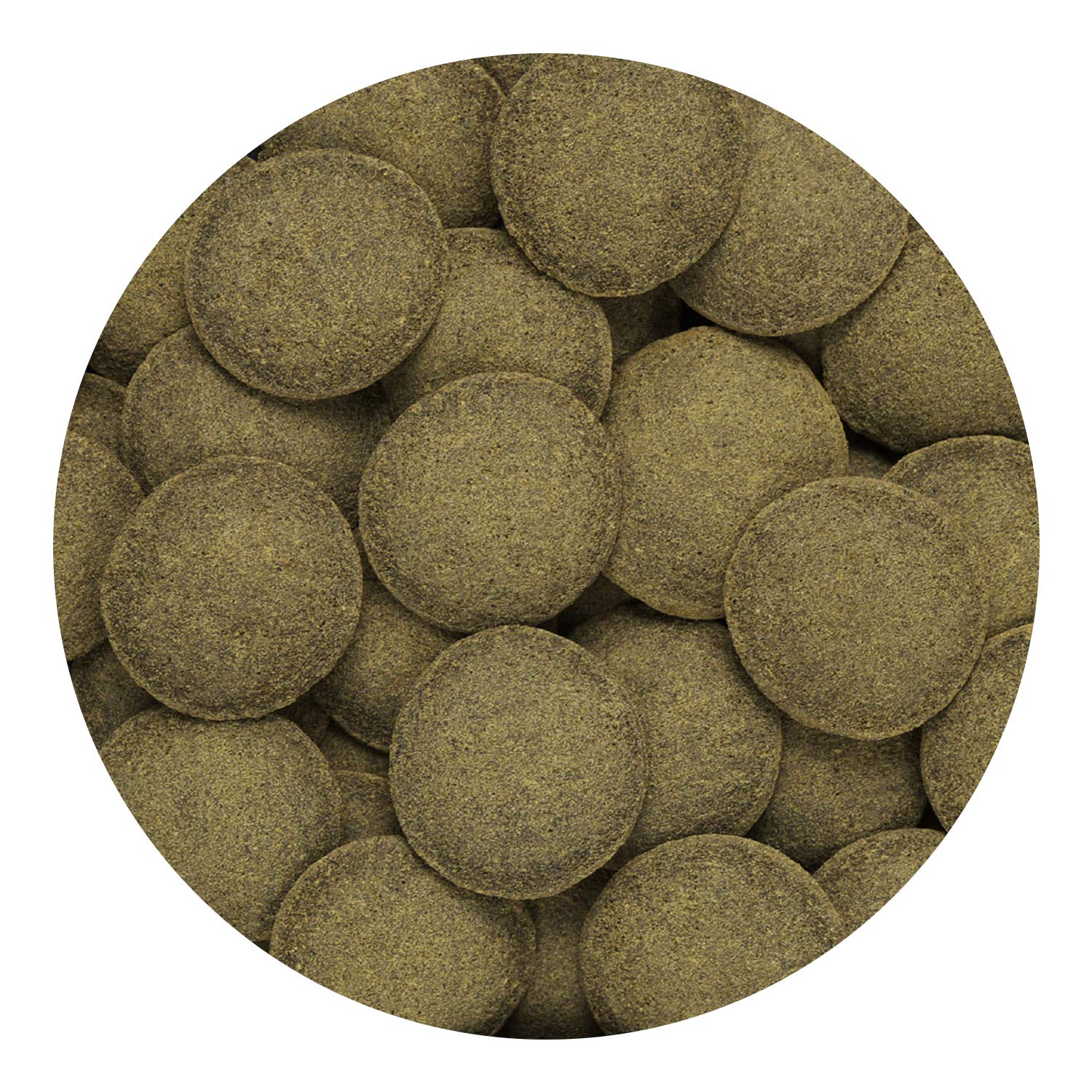 Hikari pastille à côté d'une règle bénéfice : taille adaptée pour plecos
