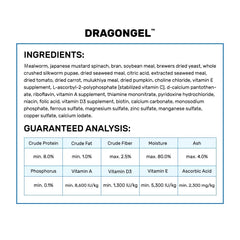 Hikari DragonGel gros plan de la texture onctueuse illustrant appétence et facilité