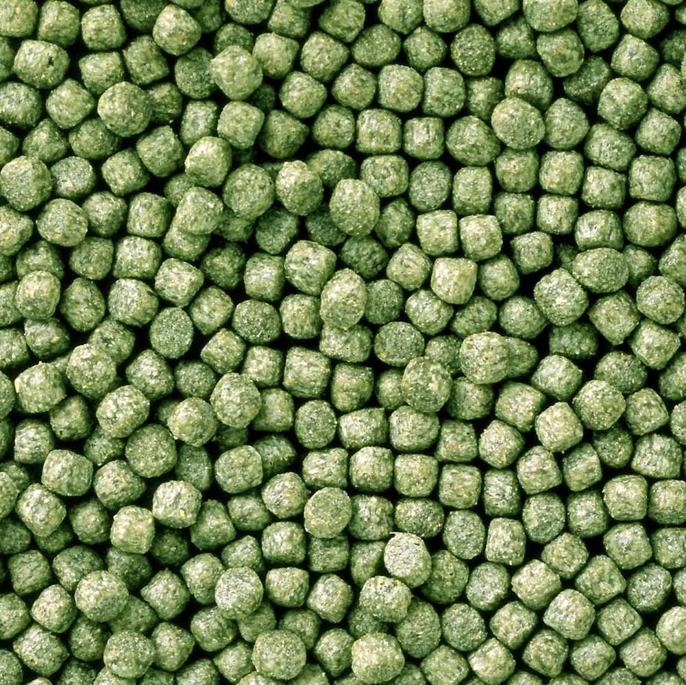 Hikari gros plan des granulés montrant texture et bénéfice absorption facile