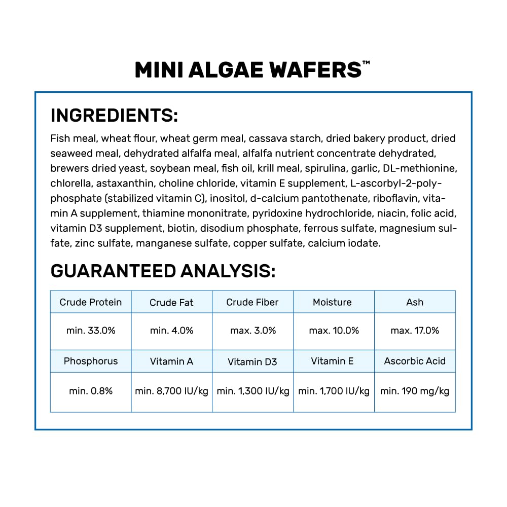 Comparaison d’échelle Hikari Mini Algae Wafers avec une pièce pour évaluer la taille