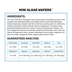 Comparaison d’échelle Hikari Mini Algae Wafers avec une pièce pour évaluer la taille