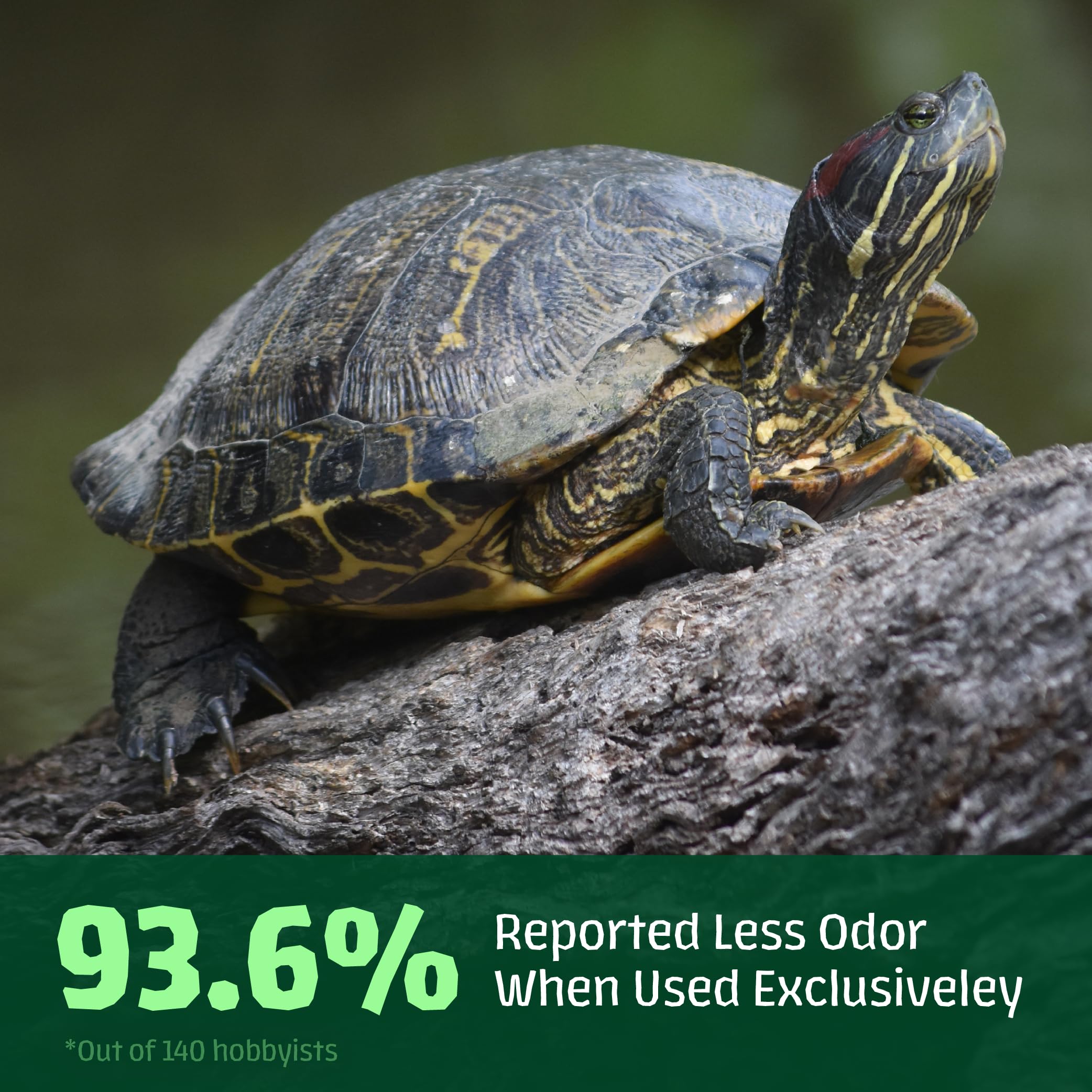 Hikari Saki Turtle étiquette nutrition montrant informations et origine Japon