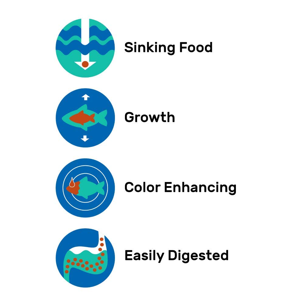 Hikari Seaweed Extreme comparaison de taille des wafers pour doser précisément