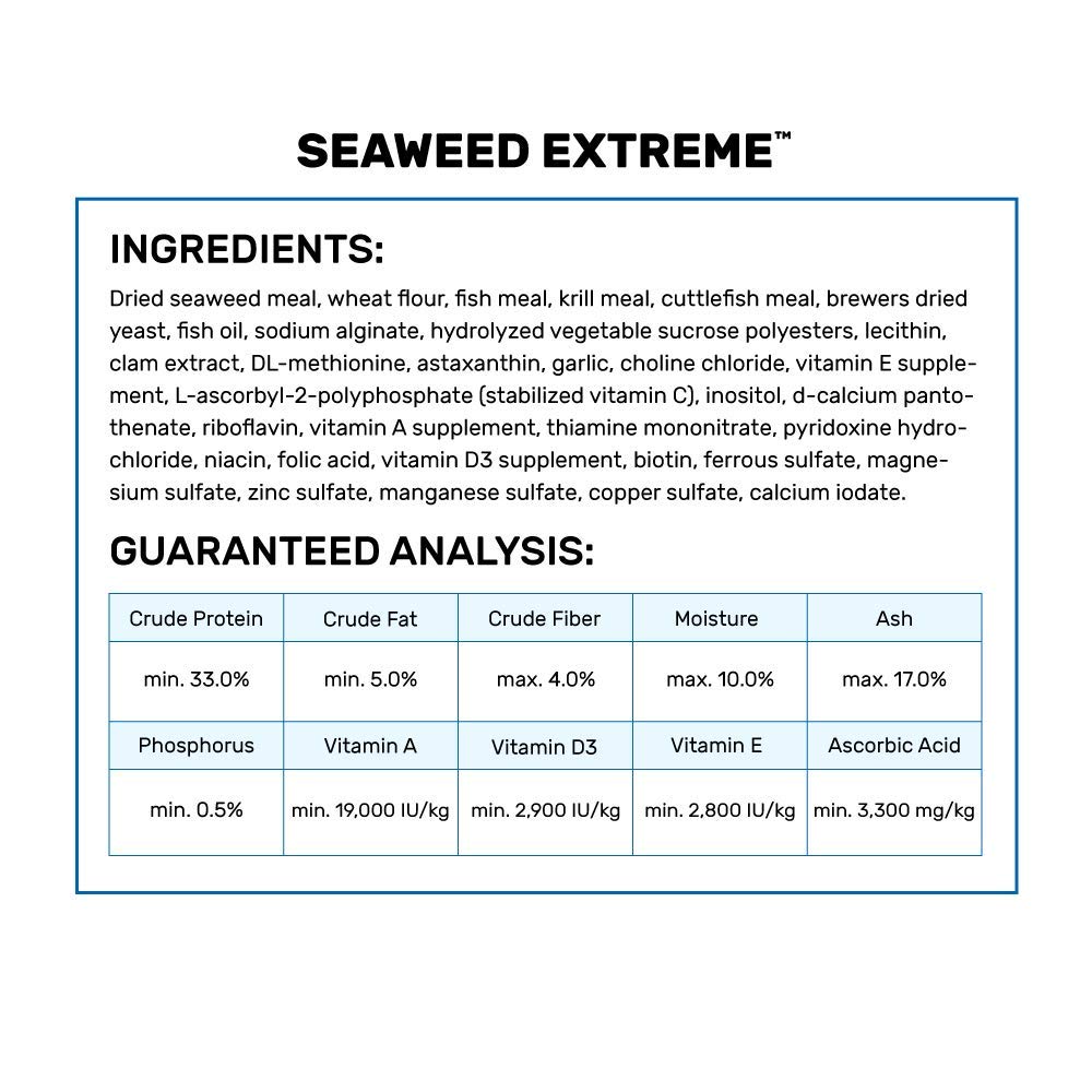Hikari Seaweed Extreme granulés montrant texture qui se ramollit facilement dans l'eau