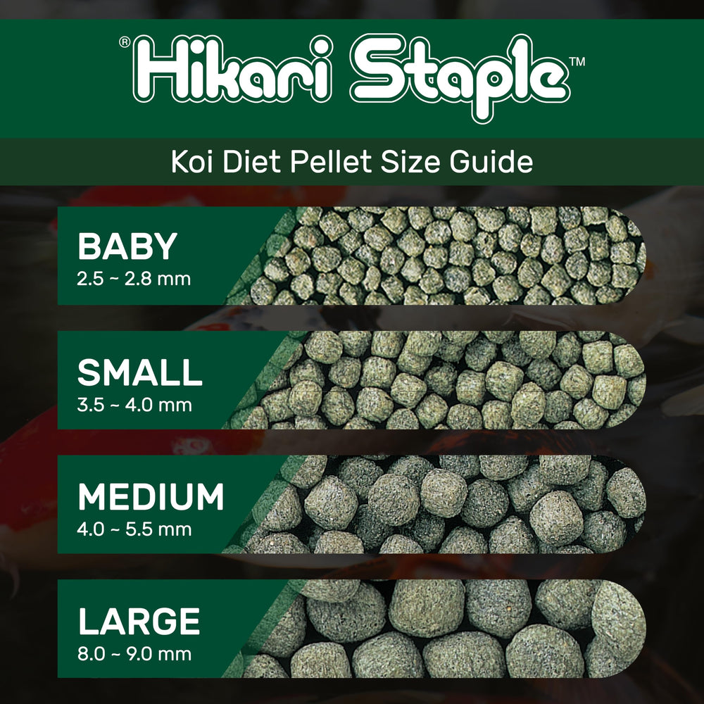 Hikari étiquette détail indiquant composition et vitamine C stabilisée