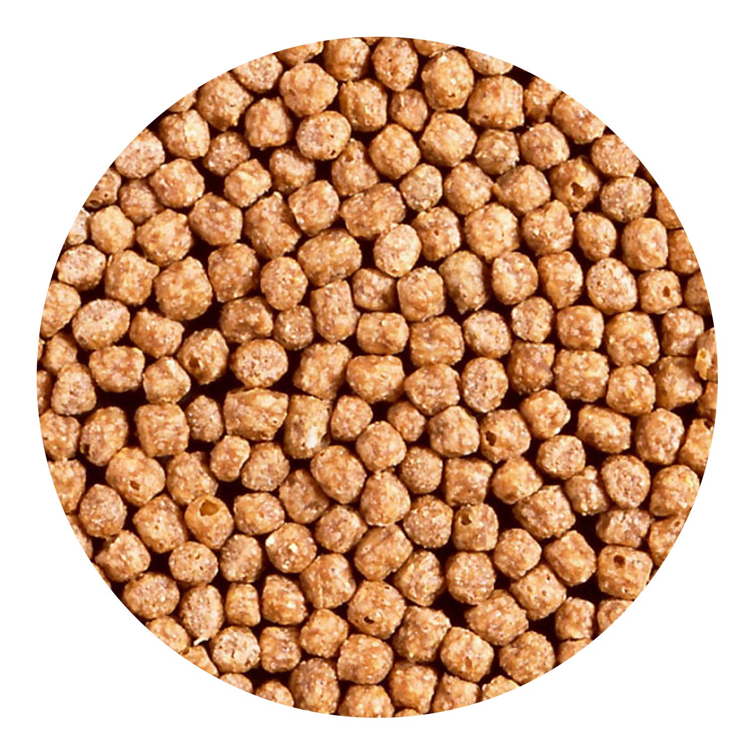 Hikari comparaison taille granulés démontrant adaptabilité aux goldfish