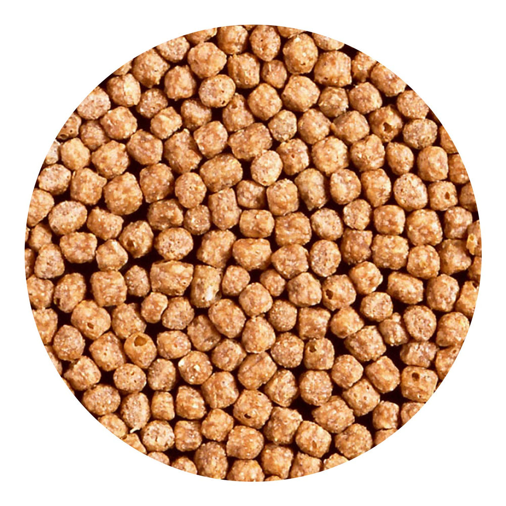 Hikari comparaison taille granulés démontrant adaptabilité aux goldfish