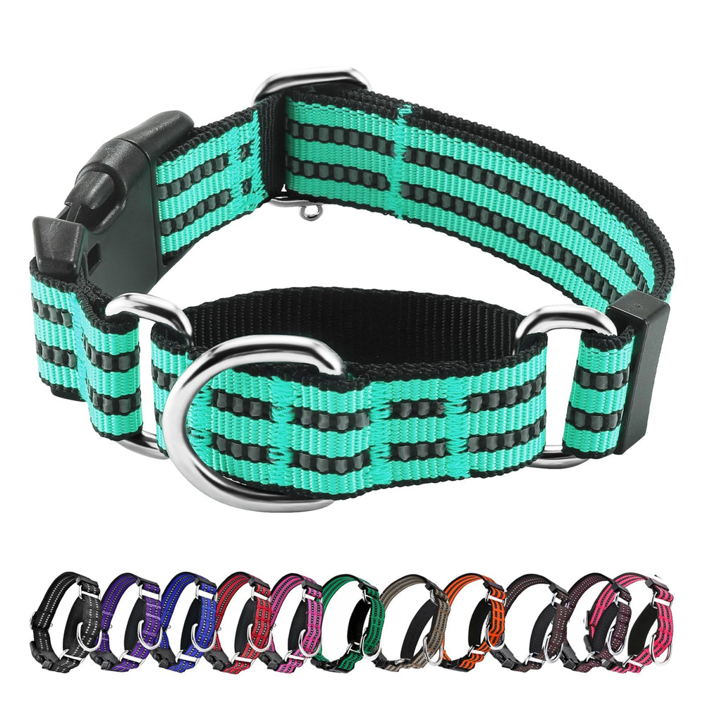 Hikiko collier martingale face avant montrant largeur et couleur turquoise, sécurité visible