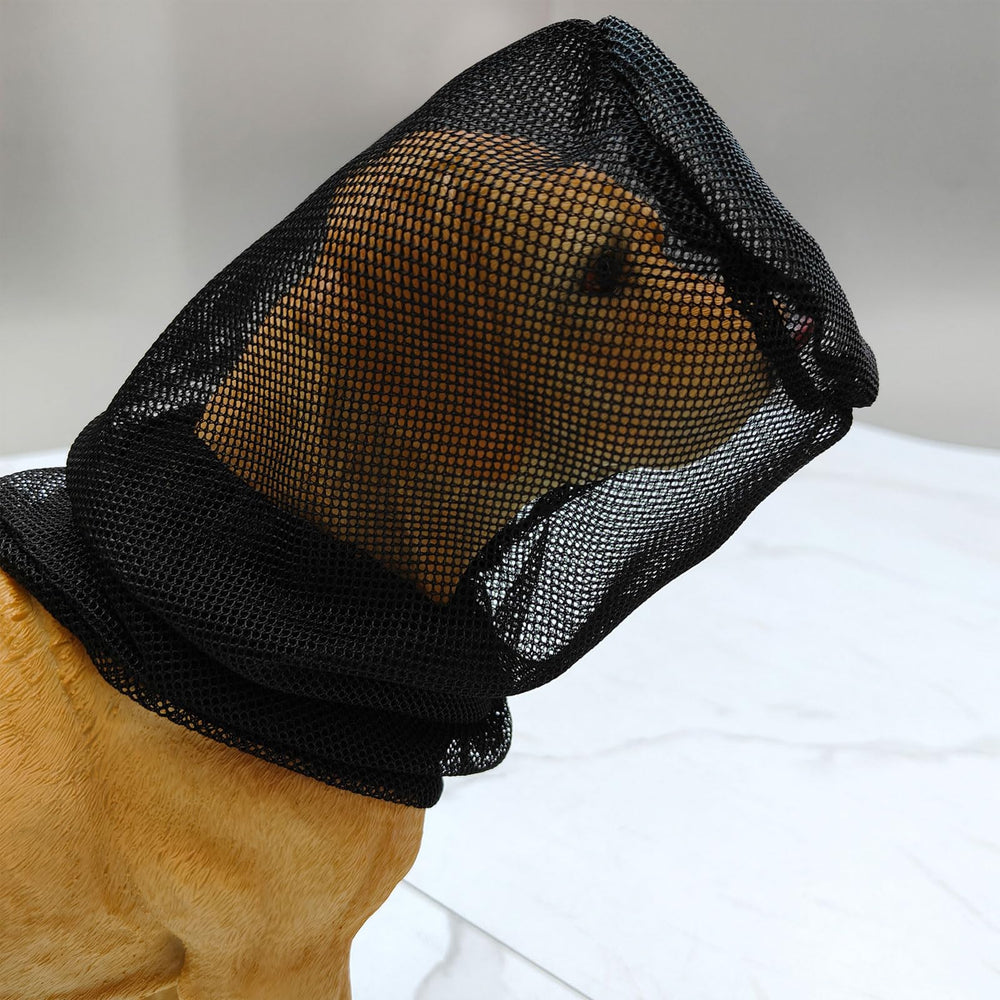 Hikiwin en contexte camping protégeant museau du chien