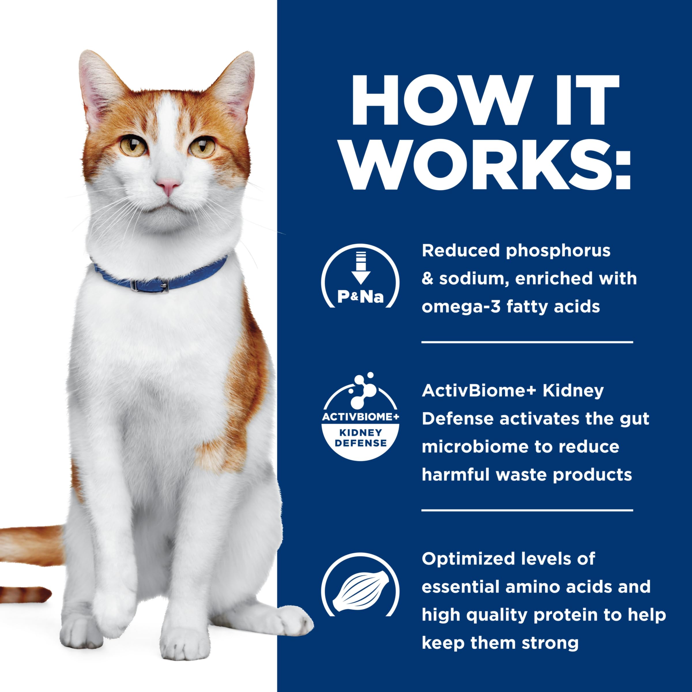 Hill's Prescription Diet conseils de conservation après ouverture pour préserver qualité