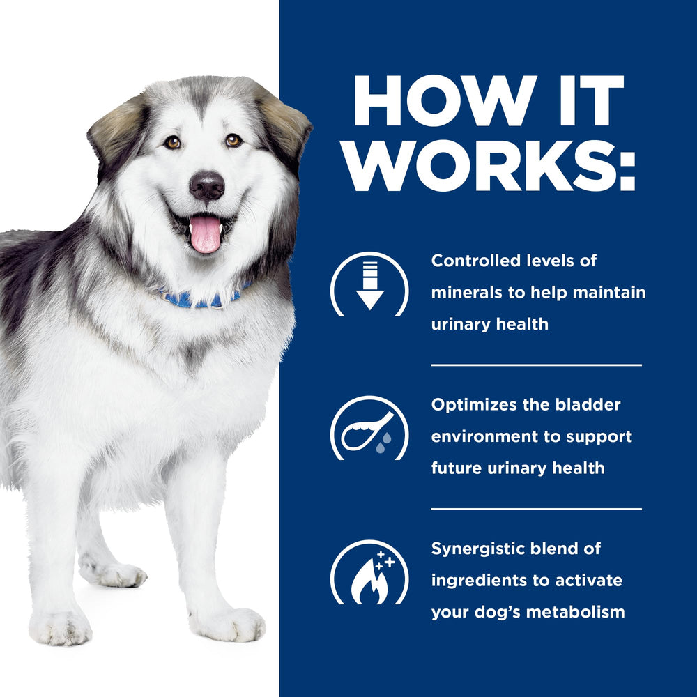 HILL'S PRESCRIPTION DIET bol servi pour illustrer portion adaptée et appétence