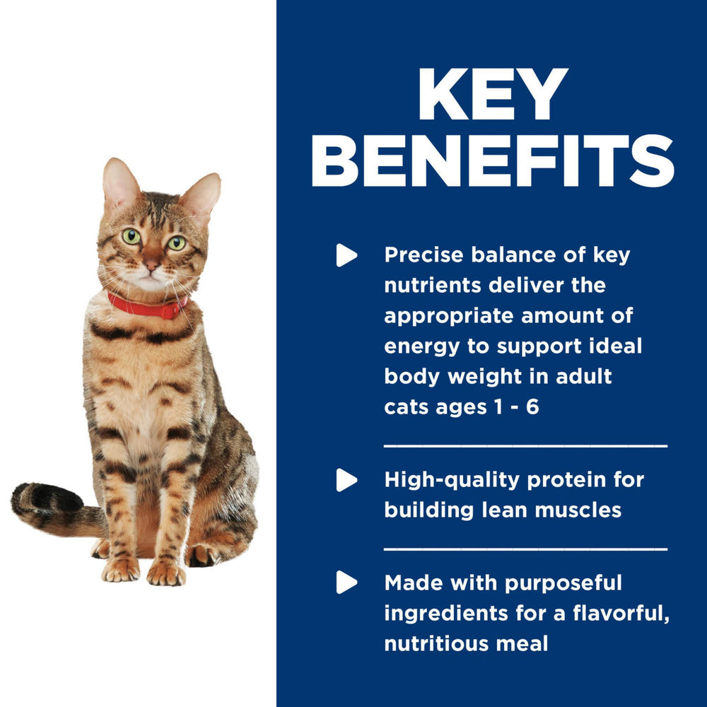 Hill's Science Diet chat mange dans une assiette augmentant l'hydratation