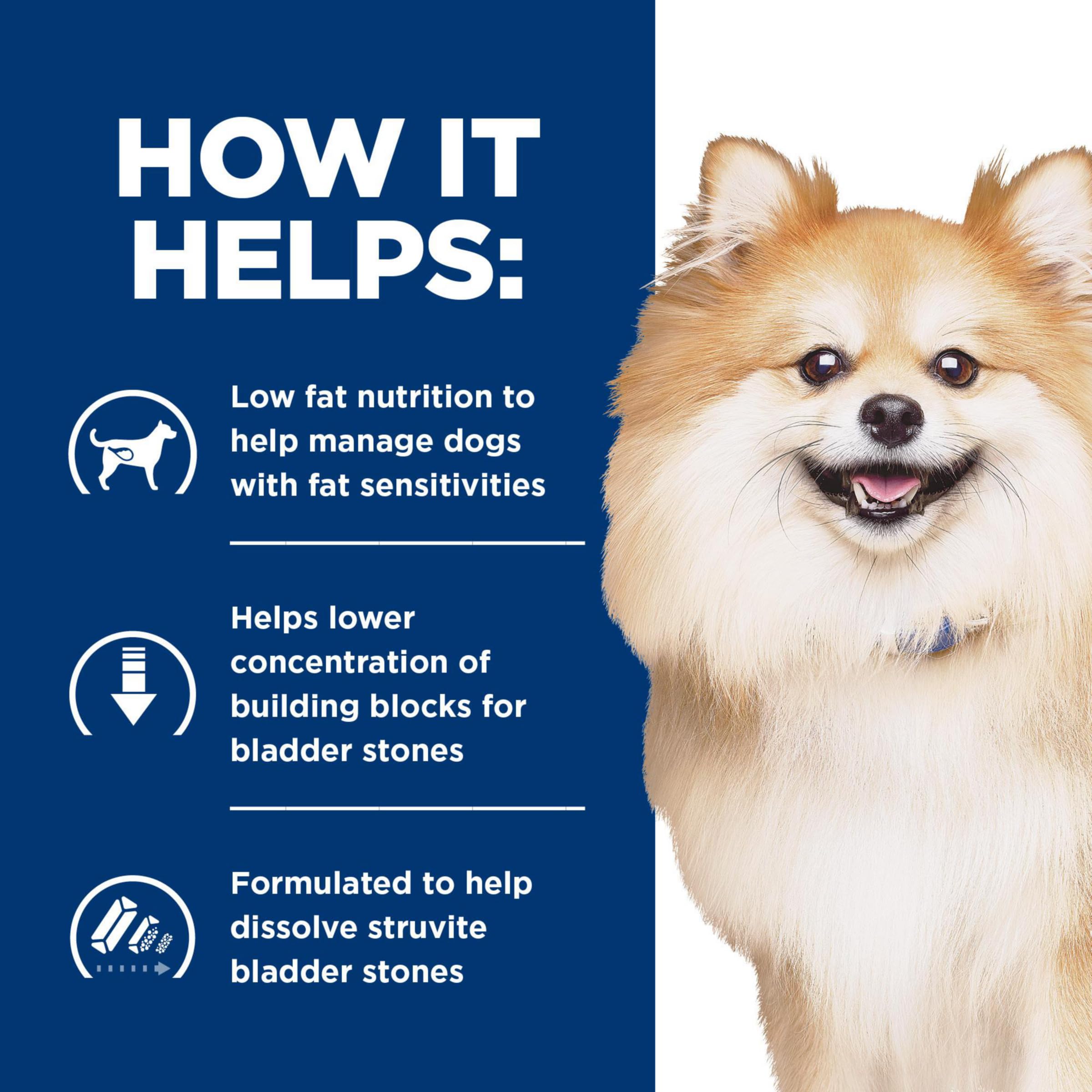 Chien mangeant Hill's Prescription Diet sous surveillance vétérinaire, digestion facilitée