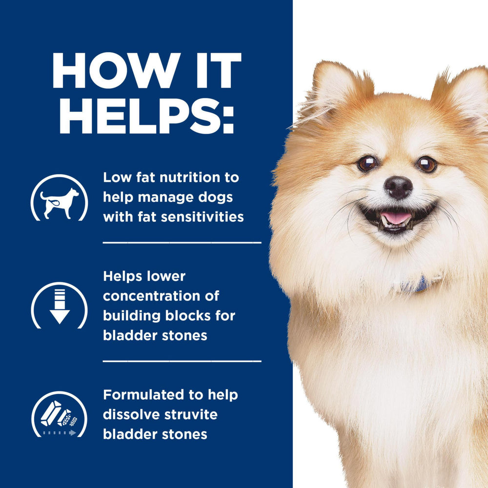 Chien mangeant Hill's Prescription Diet sous surveillance vétérinaire, digestion facilitée