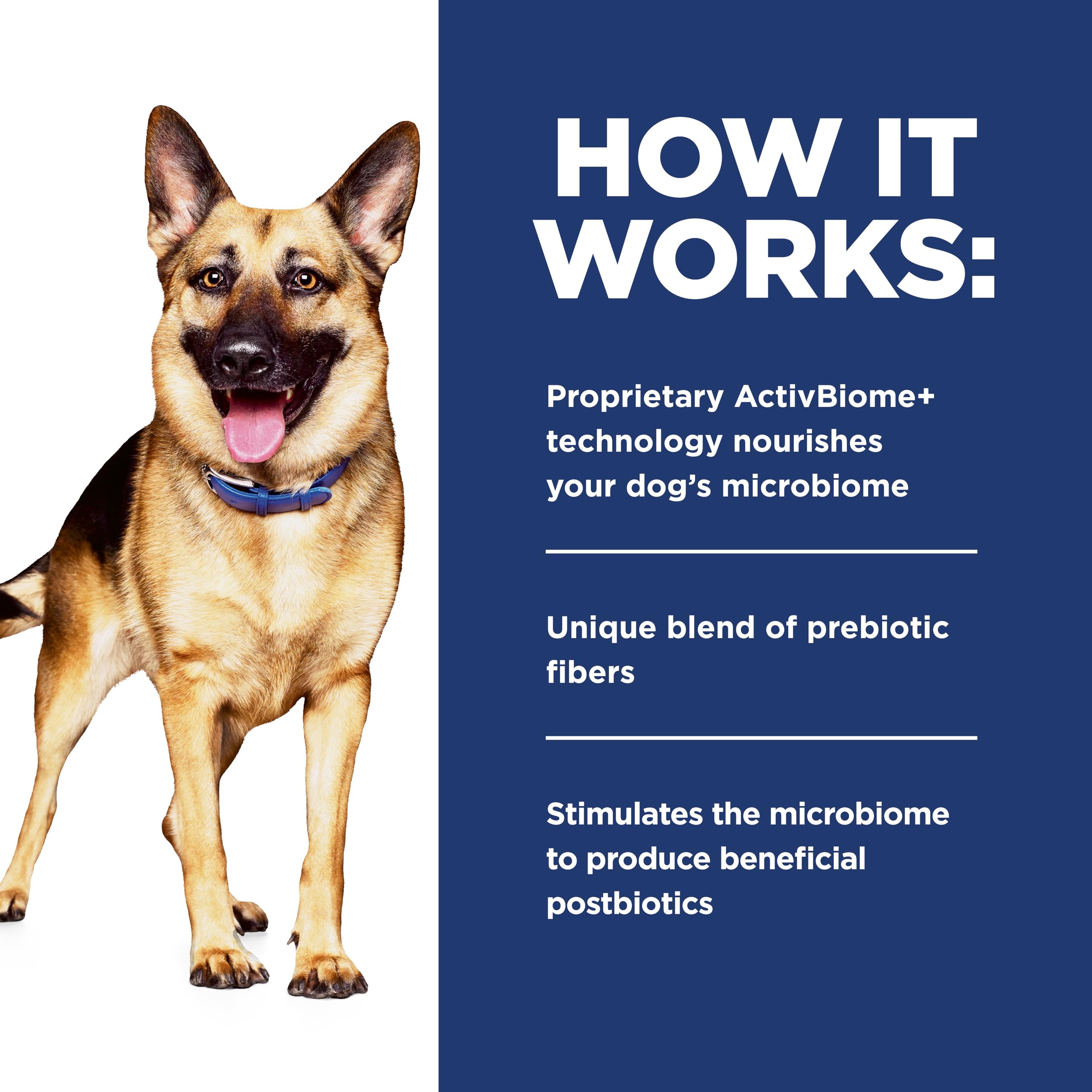 Hill's Prescription Diet chien consommant la pâtée et avantage confort digestif