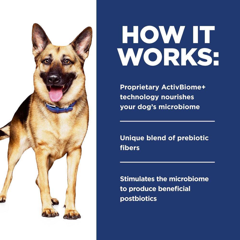 Hill's Prescription Diet chien consommant la pâtée et avantage confort digestif