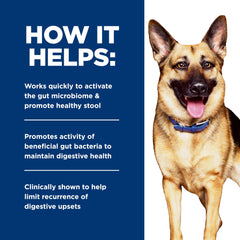 Hill's Prescription Diet chien mange illustre l'appétence et le soutien digestif quotidien
