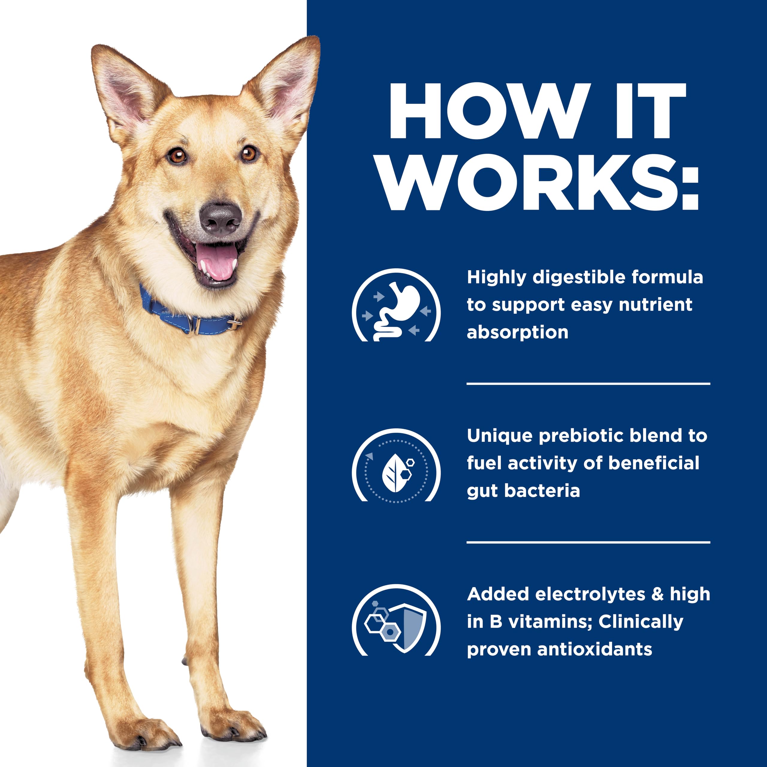 Hill's Prescription Diet chien adulte mangeant pour soutien digestif visible