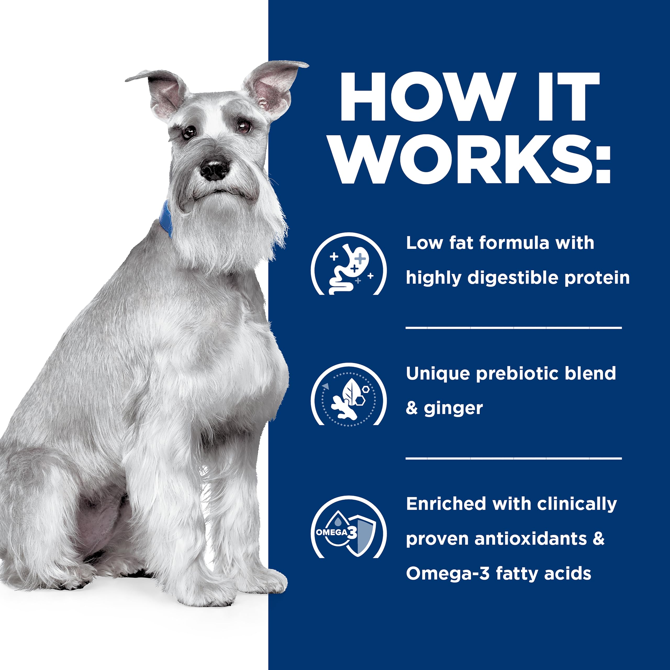 HILL'S PRESCRIPTION DIET bol servi encourage hydratation et récupération digestive