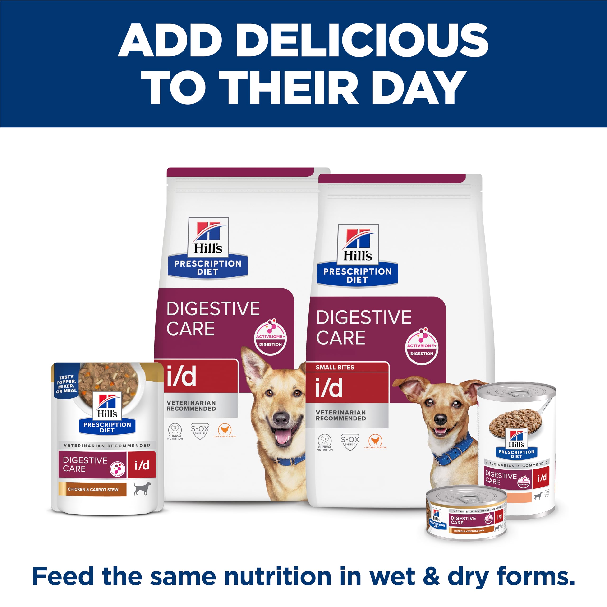 Hill's Prescription Diet mode de vie actif chien stable digestion lors balade