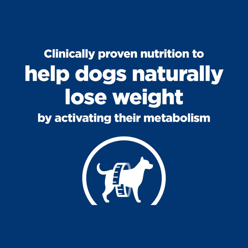 Hill's Prescription Diet chien mange montrant acceptation et maintien d'énergie