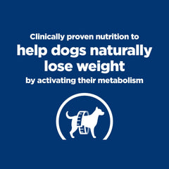 Hill's Prescription Diet chien mange montrant acceptation et maintien d'énergie