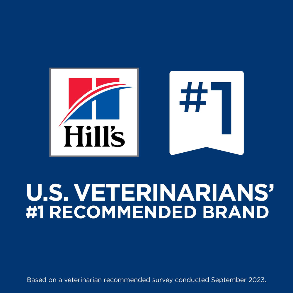 HILL'S PRESCRIPTION DIET chien mangeant pour montrer acceptation et soutien quotidien